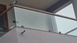 BlueLine NetView Window
